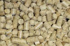 Picklenash biomass boiler costs
